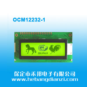 OCM12232-1 SG5V